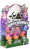 Hatchimals à Collectionner - 6043960 - Jeu enfant - Pack de 5 Figurines Saison 4 - Modèles Aléatoires