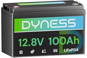 ‎DYNESS Dyness LiFePO4 12V 100Ah Lithium Batterie mit 100A BMS, Niedertemperaturschutz, Max.15000 Zyklen, 12V Lithium Solar Batterie für Wohnwagen, Solar Home Systeme, Boote