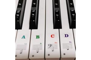 Piano Stickers for Keys, Yalloy Colorful Piano Keyboard Stickers for 88 61 54 49 Full Set Stickers Removable and Transparent, Leaves No Residue, Ideal for Piano Beginners Learning Piano or Keyboard
