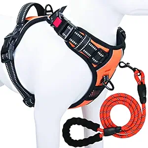 NEOMART Dog Harness. No Pull Harness for Dogs. Dog Harness Adjustable Reflective Oxford Fabric Vest For Dogs. Dog Harness for Small Medium Large Dogs. Easy Control dog chest belt ? No More Pulling Tugging or choking. Dog Harness with A Free Heavy Duty 5ft Dog Leash (Harness + Leash) (Medium, Orange)