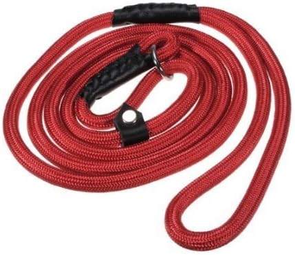 Nylon Rope Dog Whisperer Cesar Millan Style Slip Training Leash Lead and Collar (Red, Large)