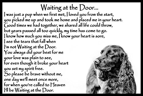 Cocker-Spaniel-dog-bereavement-pet-memorial-Flexible-Fridge-Magnet-Waiting-at-the-Door