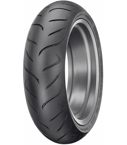 Dunlop 120/70 R 19 60V TRAILSMART MAX delantero - Neumático de moto
