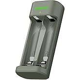 GP E221 USB CHARGER (Battery-Free Model) 2 Channel for both AA and AAA rechargeable batteries