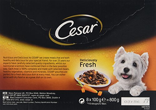 Cesar-Senior-Deliciously-Fresh-Selection-in-Jelly-8-x100g-Pack-of-648-pouches