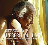 L'Esprit du Tibet : La vie du maître Dilgo Khyentsé Rinpoché by 