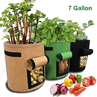Bolsas para plantas | Amazon.es