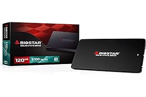 BIOSTAR Disque Dur SSD Compatible S100 120Go S-ATA