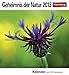 Geheimnis der Natur 2013: Sehnsuchts-Kalender. 53 heraustrennbare Farbpostkarten by 