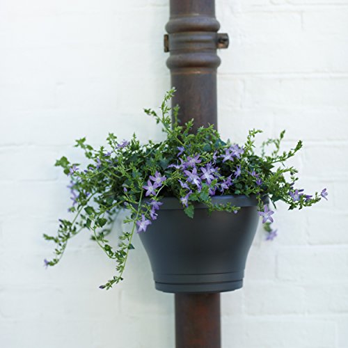 Regenrohr Pflanztopf Corsica anthrazit - 2