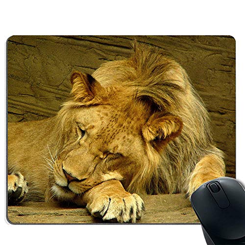 Preisvergleich Produktbild Gaming Mauspad, glatte Oberfläche Mauspad und präzise Tracking (schlafender Löwe)