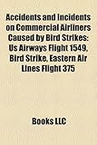 Image de Accidents and Incidents on Commercial Airliners Caused by Bird Strikes