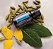doTERRA Breathe Essential Oil Blend 15 ml