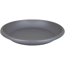 Soucoupe Pour Pot De Fleurs Veca - Diamètre 32cm, Anthracite, Plastique Solide