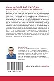 Image de Capas de CuInS2, ZnO: Al y ZnO:Mg preparadas con técnicas de bajo coste