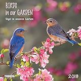 Birds in our Garden 2019: Kalender 2019 (Wonderful World) by 