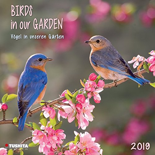 Birds in our Garden 2019: Kalender 2019 (Wonderful World)