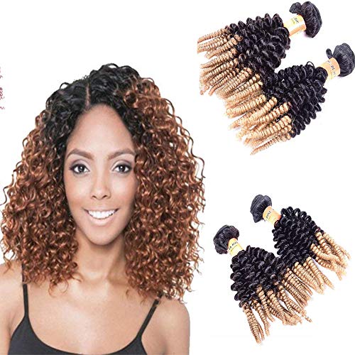 Morningsilkwig Tissage Cheveux Femmes Afro Kinky Curly Cheveux Humains 100g/Tissage Afro Crépus Bouclés 1B27 Color Remy Cheveux (16 Pouces 100g, T1B27)
