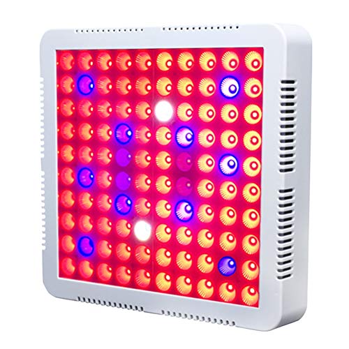 300W Plant Light, 100pcs LED Red and Blue Plant Grow Lamp, Indoor Garden Greenhouse Hydroponic Plant Lamp, Vegetable Flower Growth