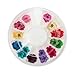 Dry Flower Acrylic UV Gel Nail Art Decoration Wheel DIY