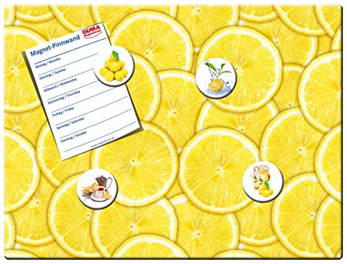 Magnettafel Zitronen - Fruchtige Design Metall Magnetpinnwand 40x30 cm - Memoboard Pinnwand Küche Essen & Trinken mit Motiv: Zitronenscheiben - inkl. 4 Magnete mit Bild Zitrone für Magnetwand - Original GUMA Magneticum®