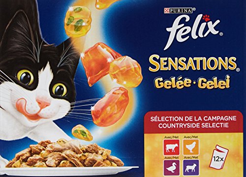Felix Sensations en Gelée Viandes : Buf, Poulet, Canard, Agneau - 12 x 100 g - Sachets Fraîcheur pour Chat Adulte - Lot de 6