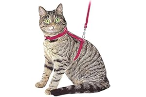 Ducomi Silvestro Arnes para Gatos – para Gatos, Conejos y Cachorros - Ideal en Paseos y Visitas al Veterinario - Correa Gato Ajustable 105cm (Pink)
