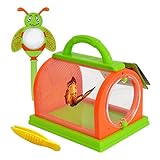insektenkasten bauen Geeignet für den Außeninsektensammel，Geeignet für den Innenaufzucht Insekten. Das Kind kann hautnah Insekten zu beobachten.Lassen Sie Kinder den Zauber der Natur kennen.