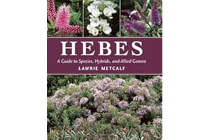 Hebes: A Guide to Species, Hybrids and Allied Genera