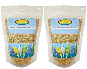 Mistletoe? Product Premium Bird Food Royal Kangni Seed Budgies, Parrots 1 kg(Pack of 2 )