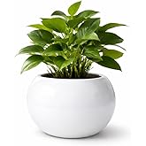 Ceramic Plant Pots, Clay Flower Pot with Drainage Hole, Decorative Modern Indoor Planters, Home Garden Decor for Living Room 