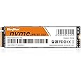 KingDian SSD interno 1TB Gen3x4 PCIe M.2 2280 Drive a Stato Solido NVMe(1TB)