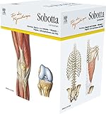 Sobotta Lernkarten für Physiotherapeuten by Lars Bräuer, Joachim Bernhard