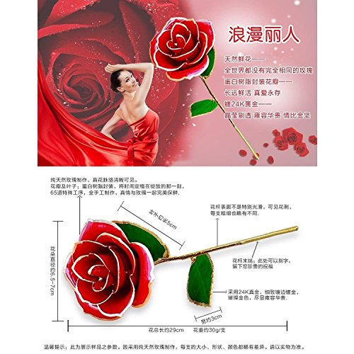 Itian 24K Gold Getauchte Echt Rote Rose, Liebe Geschenk für Ihre Freundin / Frau für Geburtstag, Weihnachten, Valentinstag Jahrestag (Rot) - 2