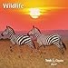 Wildlife 2017 by