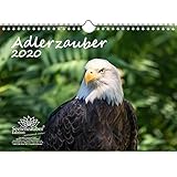 Adlerzauber DIN A4 Kalender 2020 Adler und Greifvögel und zusätzlich 1 Geschenkkarte - Seelenzauber by