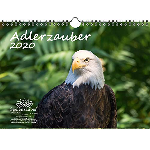 Adlerzauber DIN A4 Kalender 2020 Adler und Greifvögel und zusätzlich 1 Geschenkkarte - Seelenzauber