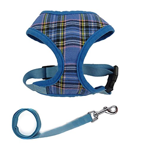 Preisvergleich Produktbild einstellbare weiche Stoff Hund / Welpengeschirr Blei - blau - xs nutzen