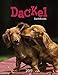 Dackel - Kalender 2019 by 