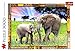 Price comparison product image Trefl Jigsaw Puzzle 3000 pieces - Savannah
