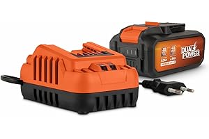 POWERPLUS POWER plus - Set di batterie e caricabatterie Dual Power POWDP90640 – 2 x 20 V, 5,0 Ah, 2,5 Ah – per strumenti da 20 V e 40 V – caricatore da 2 A – per batterie da 20 V e 2 x 20 V – per avvitatore a