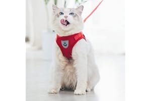 Anlitent Comfort Step-in Cat Harness and Leash Set for Puppies Cats Kitty Escape Proof Pet Vest Harnesses for Small Animals Rabbit/Mouse/Cats Under 6 lbs(Small, Red)