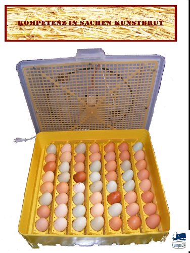 Motorbrüter direkt vom Hersteller Campo24 G ® Incubator/Inkubator/Brüter/Brutmaschine/Brutgerät/Flächenbrüter mit Umluftmotor - 3