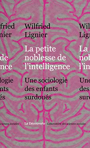 La petite noblesse de l'intelligence (Laboratoire des sciences sociales) La petite noblesse de l'intelligence (Laboratoire des sciences sociales)