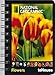 National Geographic Calendar Flowers 2010. Taschenkalender Deluxe by 