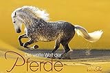 Die weite Welt der Pferde 2019: Panorama Kalender 2019 by 
