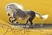 Die weite Welt der Pferde 2019: Panorama Kalender 2019 by 