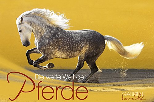 Die weite Welt der Pferde 2019: Panorama Kalender 2019