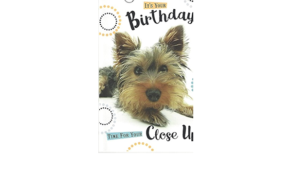Joyeux Anniversaire Mignon Yorkshire Terrier Chiot Carte Amazon Fr Fournitures De Bureau