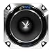 Pyle PDBT28 1-Inch Heavy Duty Titanium Super Tweeter RS.1899.00